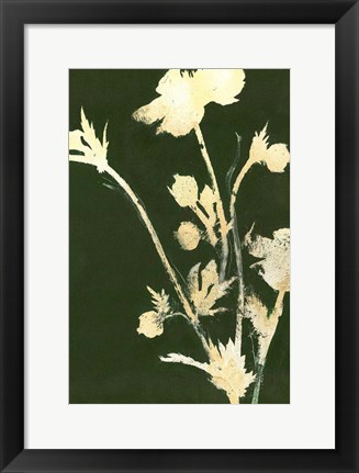 Framed Pure Nature 6 Print