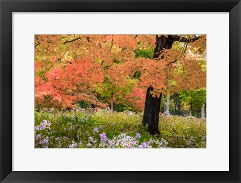 Framed Autumn Splendor Print