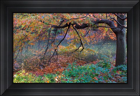 Framed Fall Retreat Print