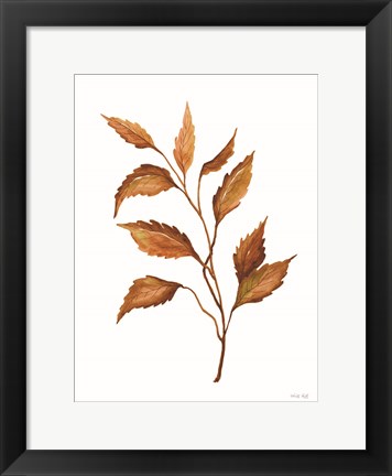 Framed Fall Leaf Stem IV Print