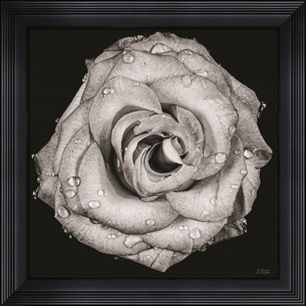 Framed Love Lost Print
