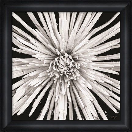 Framed Black and White Love Print