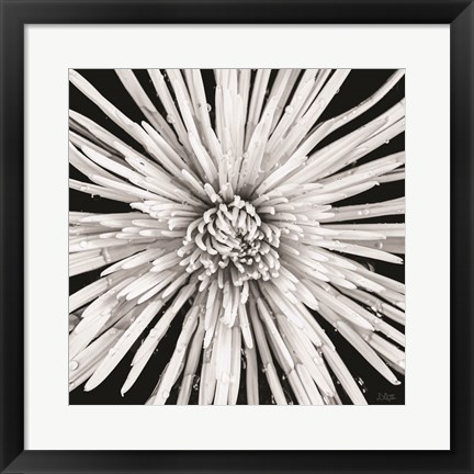 Framed Black and White Love Print