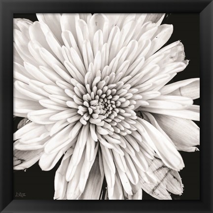 Framed Black and White Love II Print