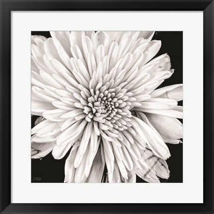 Framed Black and White Love II Print