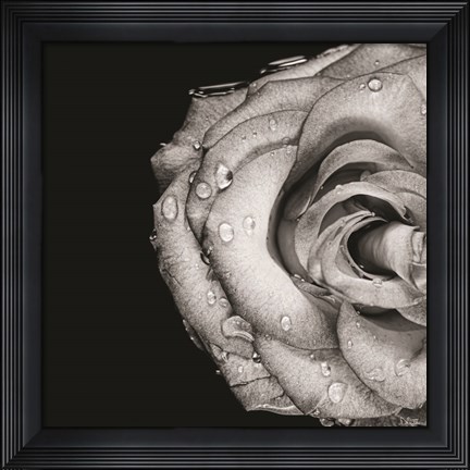 Framed Lost Love Print