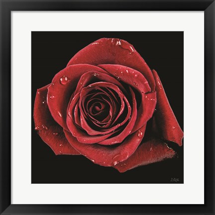 Framed Broken Heart Rose Print