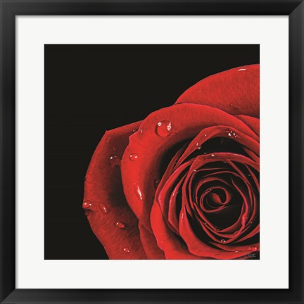 Framed Pop of Red Rose Print