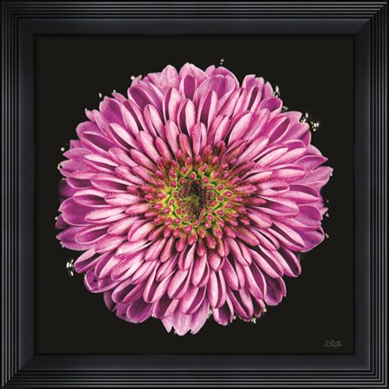 Framed Purple Gradient Print