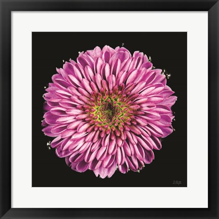 Framed Purple Gradient Print