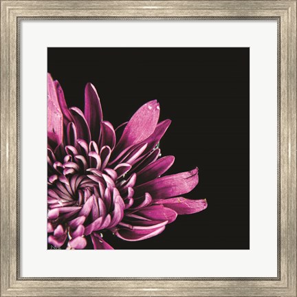 Framed Love Intertwined I Print