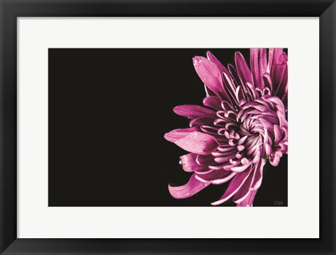 Framed Love Intertwined II Print