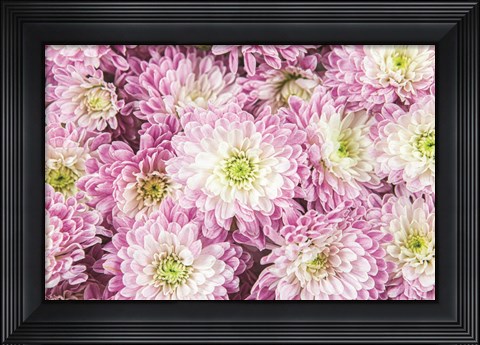 Framed Pretty in Purple I Print
