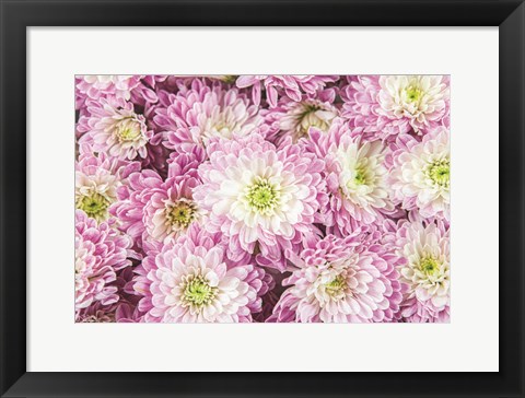 Framed Pretty in Purple I Print