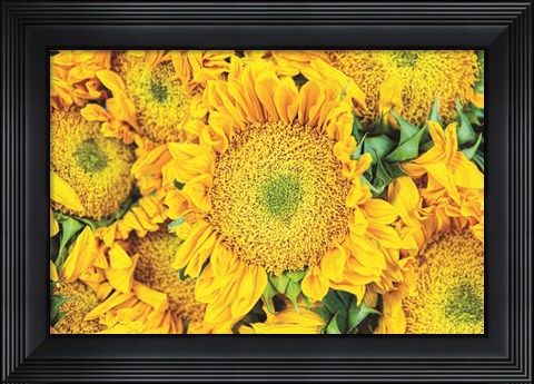 Framed Fall Feels I Print