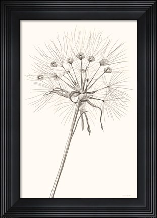 Framed Moments Print