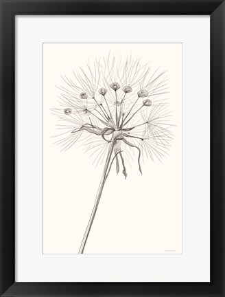 Framed Moments Print