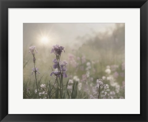 Framed Spring Bling Print