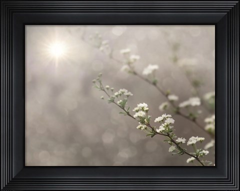 Framed Floral Dreams Print