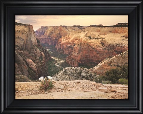 Framed Zion Desert Life Print