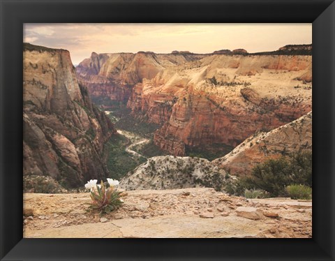 Framed Zion Desert Life Print