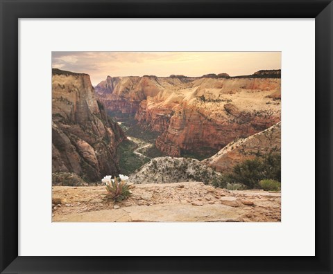 Framed Zion Desert Life Print