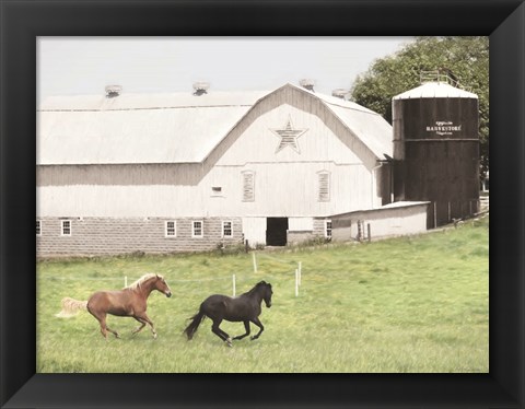 Framed Afternoon Run on the Farm Print