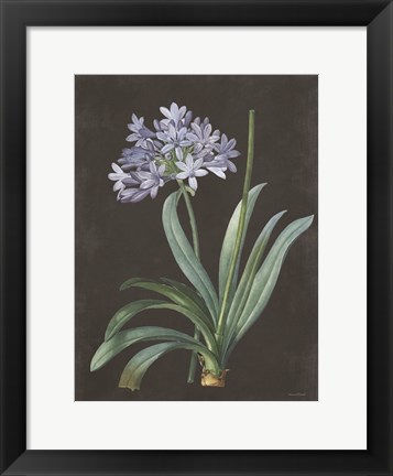 Framed Bulb Study Print