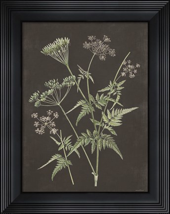 Framed Chives Print