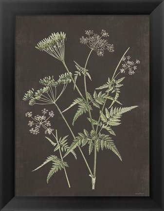 Framed Chives Print