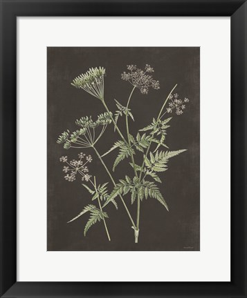 Framed Chives Print