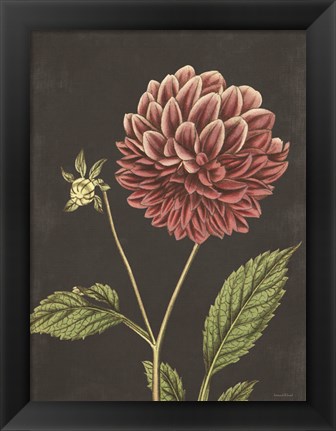 Framed Dahlia Print