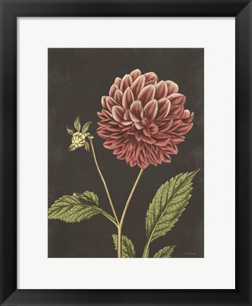 Framed Dahlia Print