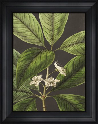 Framed Grand Leaves Print