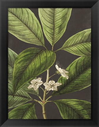 Framed Grand Leaves Print