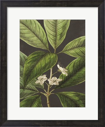 Framed Grand Leaves Print