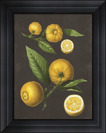Framed Lemon Citrus Print