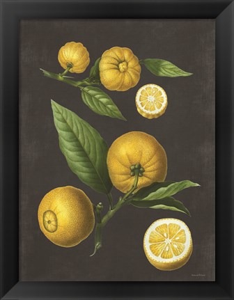 Framed Lemon Citrus Print