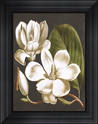 Framed Magnolia Print