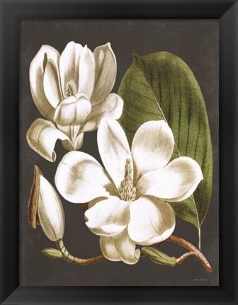 Framed Magnolia Print