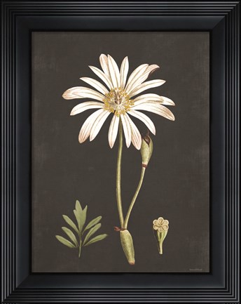 Framed Naturalist Bloom Study Print