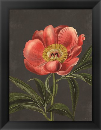 Framed Peony Print