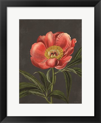 Framed Peony Print