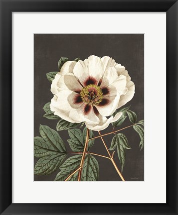 Framed Vintage Rose Print