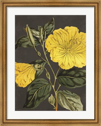 Framed Yellow Vine Print
