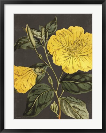 Framed Yellow Vine Print