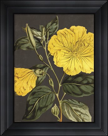 Framed Yellow Vine Print