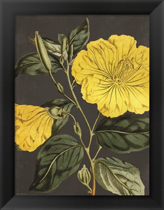 Framed Yellow Vine Print