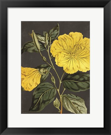 Framed Yellow Vine Print