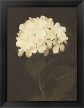 Framed Vintage White Hydrangea Print